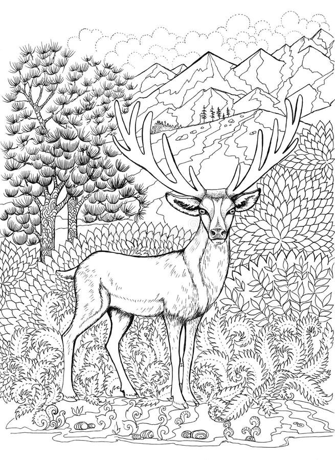 Färgläggninghjortar med horn på kronhjort stock illustrationer Färgläggninghjortar med horn på kronhjort stock illustrationer