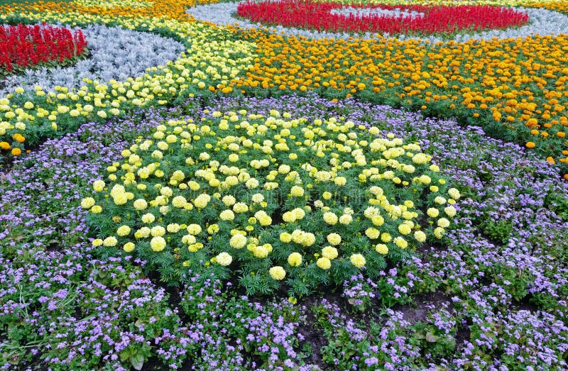 Färgrik blomsterrabatt för sommar Bakgrund arkivbild Färgrik blomsterrabatt för sommar Bakgrund arkivbild