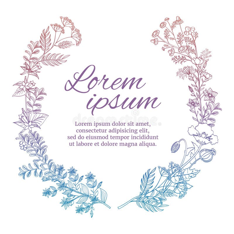 Färgrik bröllopkrans med lösa blommor och örter som isoleras på vit bakgrund royaltyfri illustrationer Färgrik bröllopkrans med lösa blommor och örter som isoleras på vit bakgrund royaltyfri illustrationer