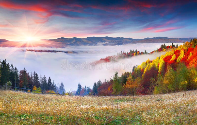Färgrik höstsoluppgång i de Carpathian bergen
