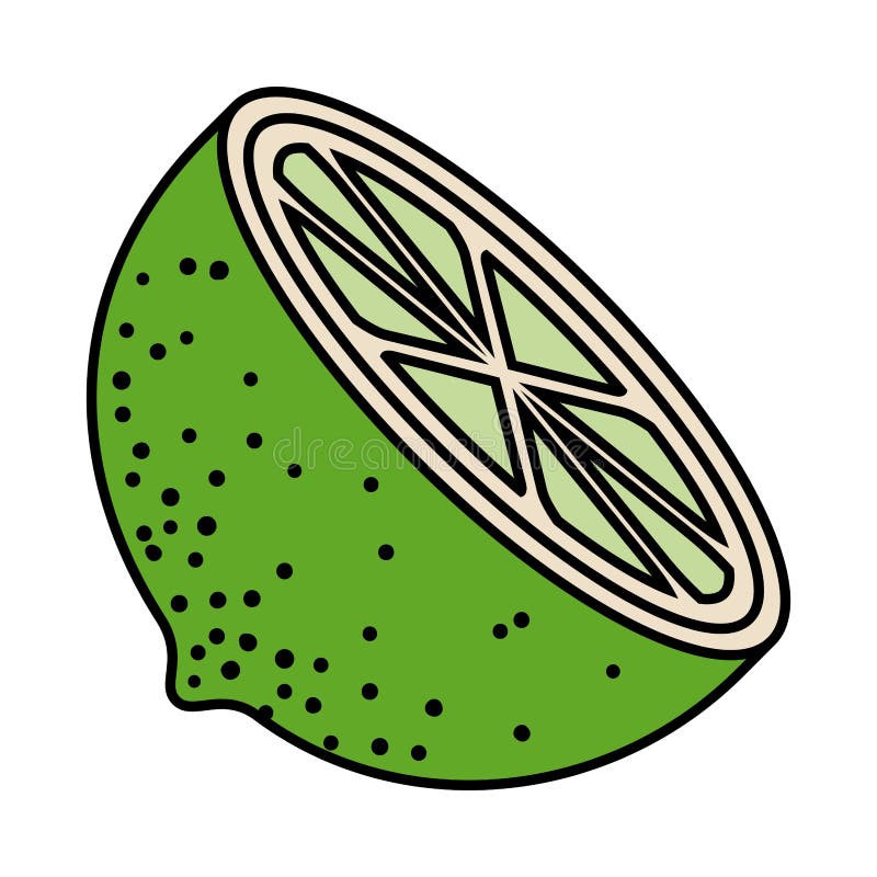 Färgrik kontur med halv citronfrukt stock illustrationer