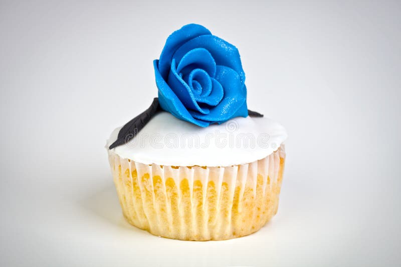 Färgrik muffin royaltyfri fotografi