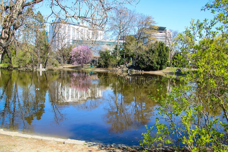 Färgrik skönhet av våren royaltyfri foto
