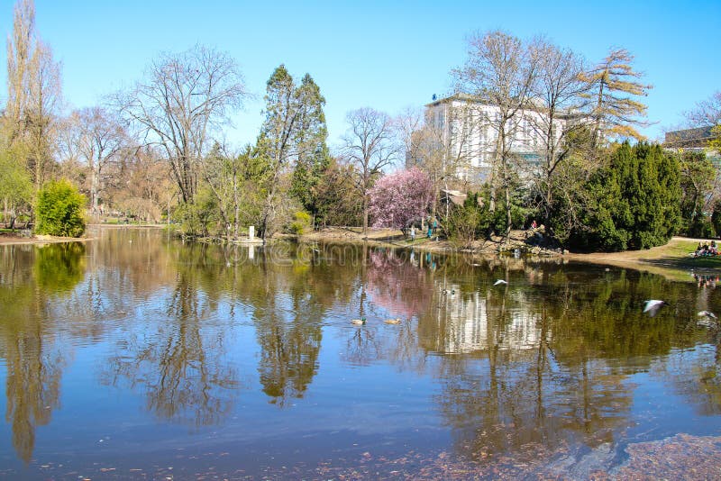 Färgrik skönhet av våren arkivbilder