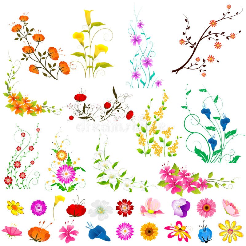 Vector illustration of collection of colorful flowers. Vector illustration of collection of colorful flowers