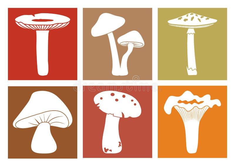 Färgrika champinjonsymboler Olika tecknad filmchampinjoner vektor vektor illustrationer Färgrika champinjonsymboler Olika tecknad filmchampinjoner vektor vektor illustrationer