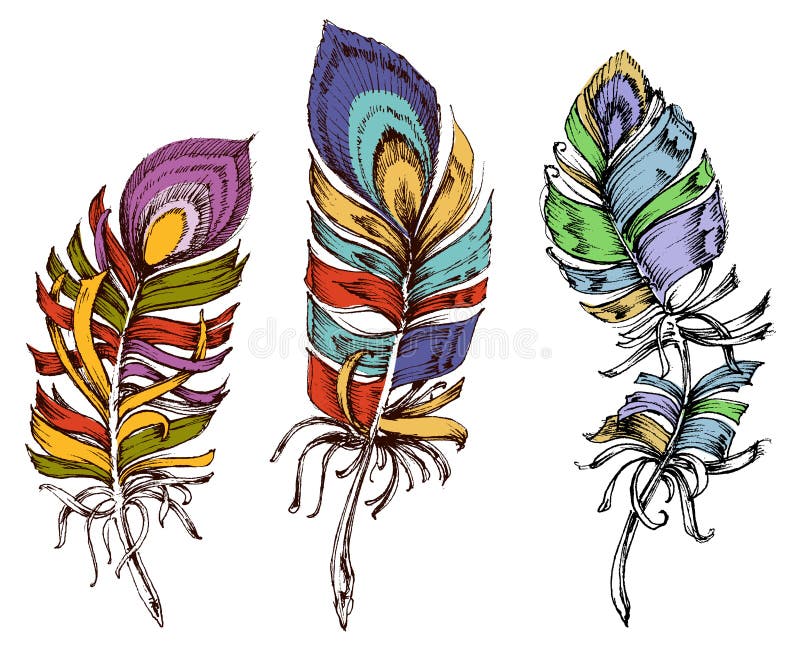 färgrika fjädrar royaltyfri illustrationer färgrika fjädrar royaltyfri illustrationer