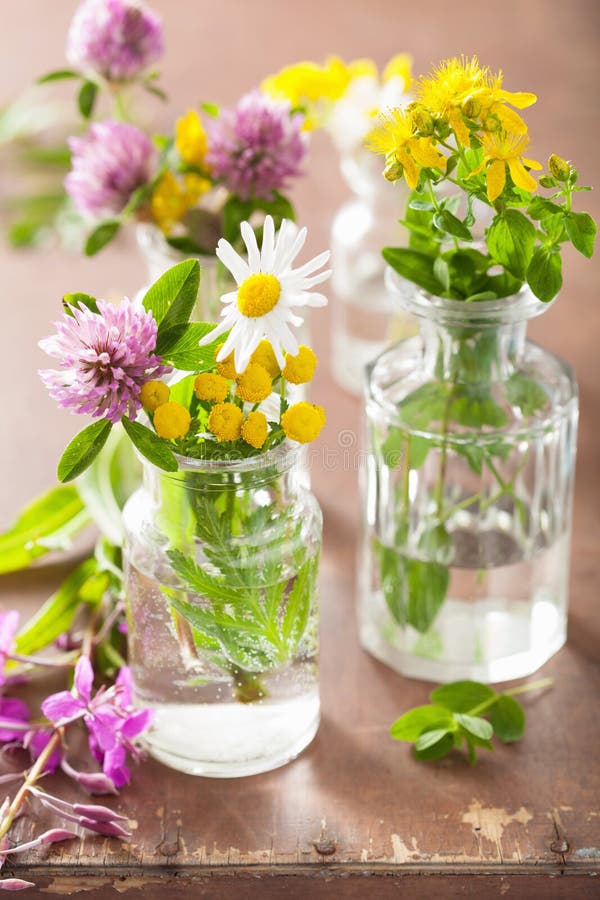 Färgrika läkarundersökningblommor och örter i krus royaltyfri bild Färgrika läkarundersökningblommor och örter i krus royaltyfri bild