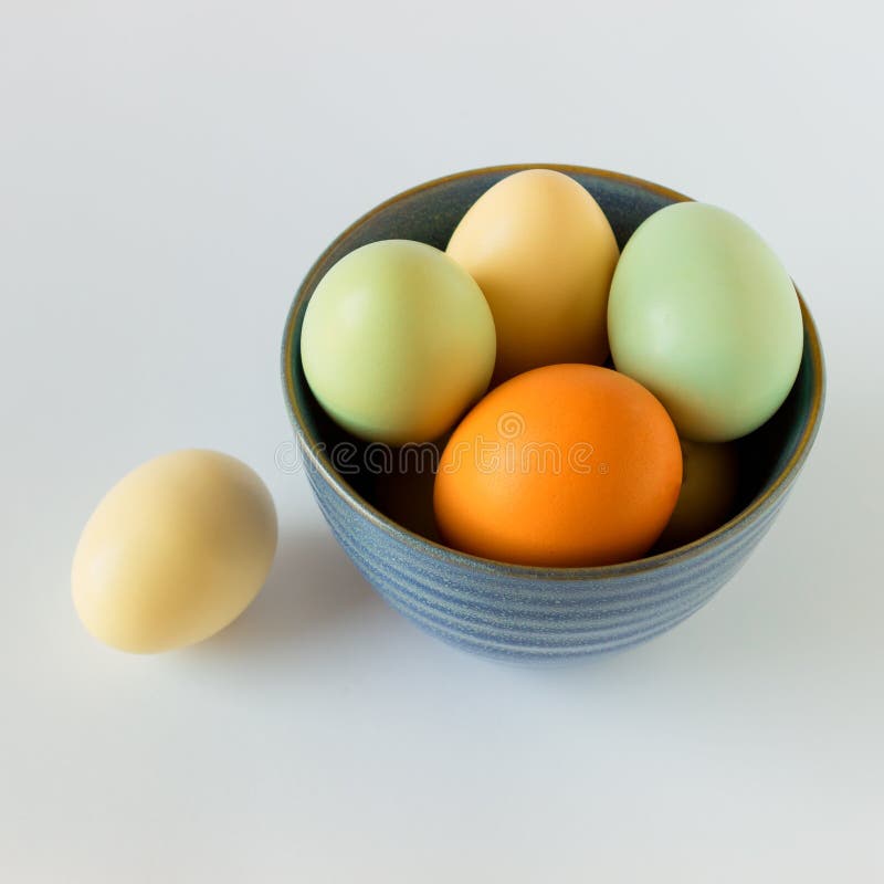 Färgrika pastellfärgade ägg i en blå bunke på en vit bakgrund Conce fotografering för bildbyråer Färgrika pastellfärgade ägg i en blå bunke på en vit bakgrund Conce fotografering för bildbyråer