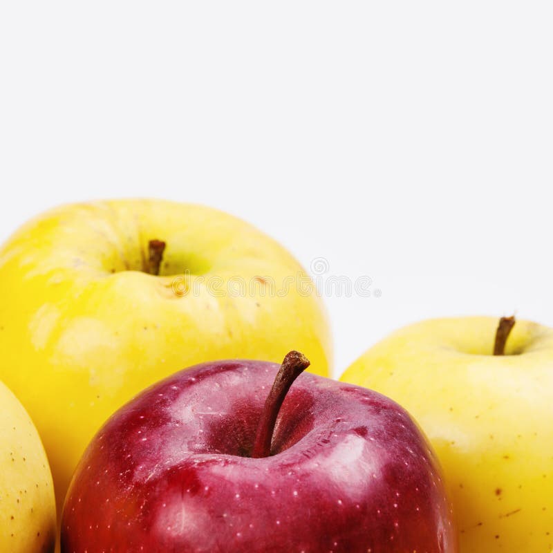 Färgrika äpplen på vit bakgrund Bär frukt det röda gula nya mogna äpplet för makrosikten kopiera avstånd fotografering för bildbyråer Färgrika äpplen på vit bakgrund Bär frukt det röda gula nya mogna äpplet för makrosikten kopiera avstånd fotografering för bildbyråer