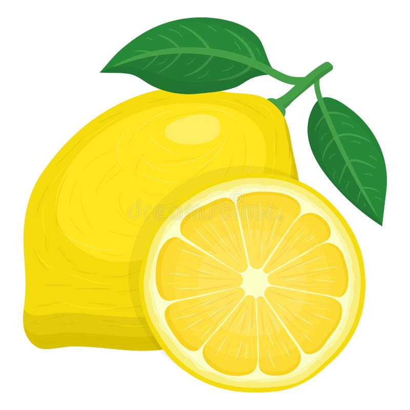 Färsk, lätt exotisk hel och halv citronfrukt isolerad på vit bakgrund. Sommarfrukt för en hälsosam livsstil. Ekologisk frukt. royaltyfri illustrationer