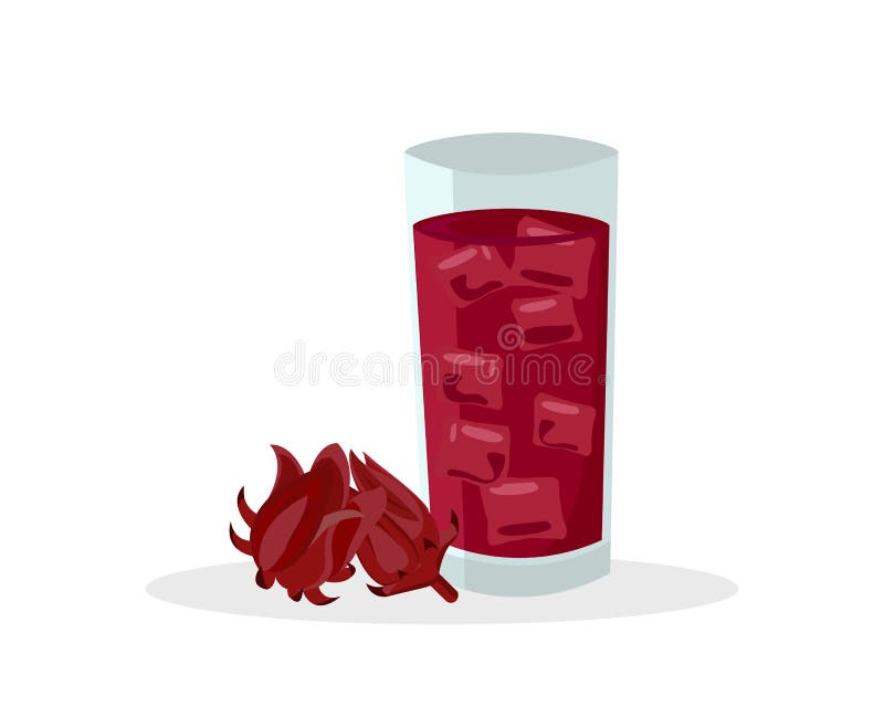 Färsk roselle frujamaica sorrel rozelle sorelle eller hibiscus sabdariffa och glas hibiscus juicete te royaltyfri illustrationer