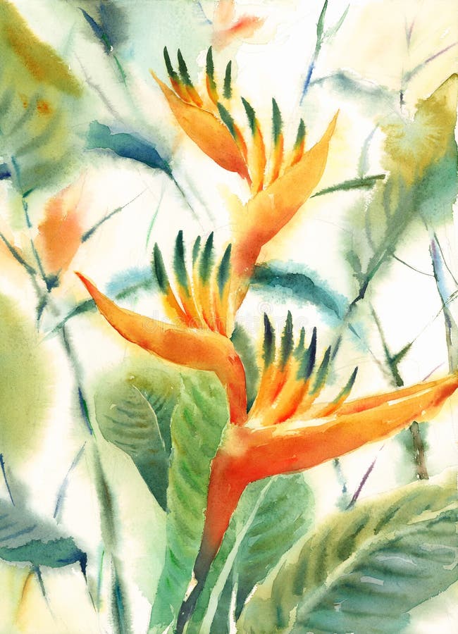 Fågel av den målade handen för illustration för paradisvattenfärgblommor stock illustrationer Fågel av den målade handen för illustration för paradisvattenfärgblommor stock illustrationer