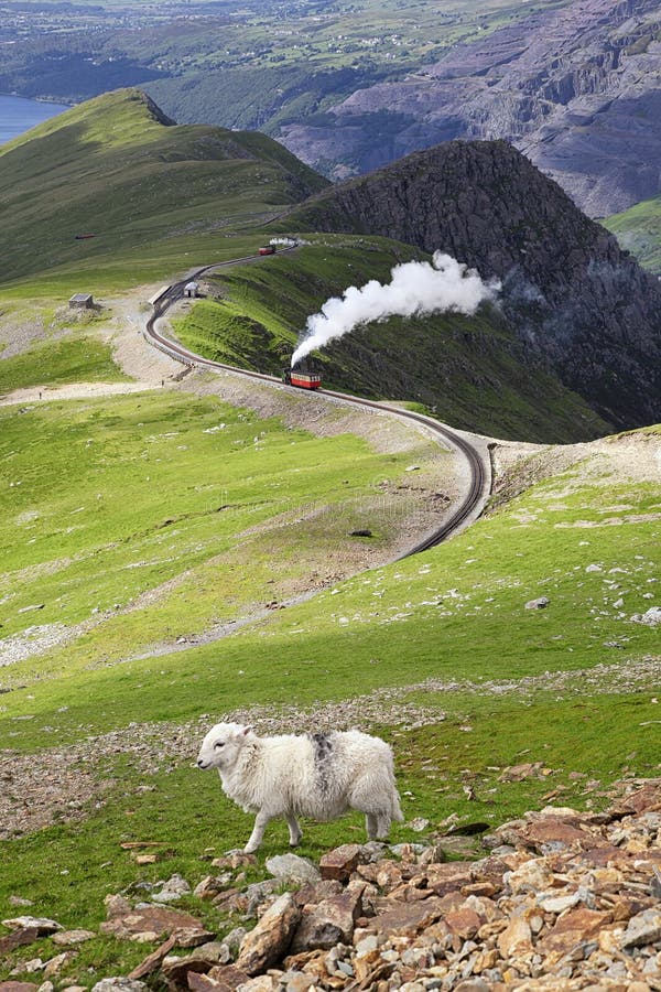 Får- och bergjärnväg arkivfoto Får- och bergjärnväg arkivfoto