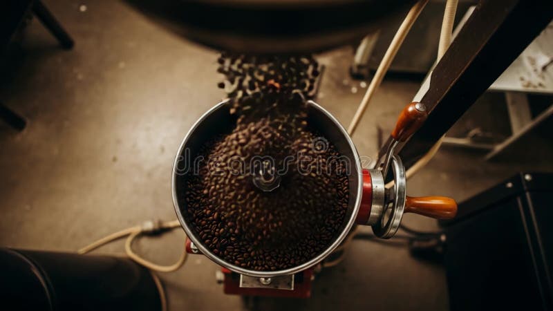 Fèves de café tombant dans la machine à torréfier d'en haut illustration de vecteur
