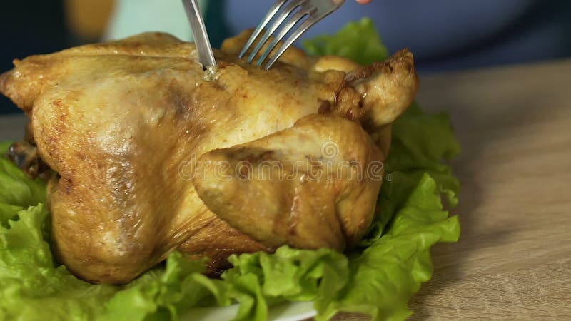 Fêmea gorda com fome com os problemas comer que cortam o frango assado com faca e forquilha