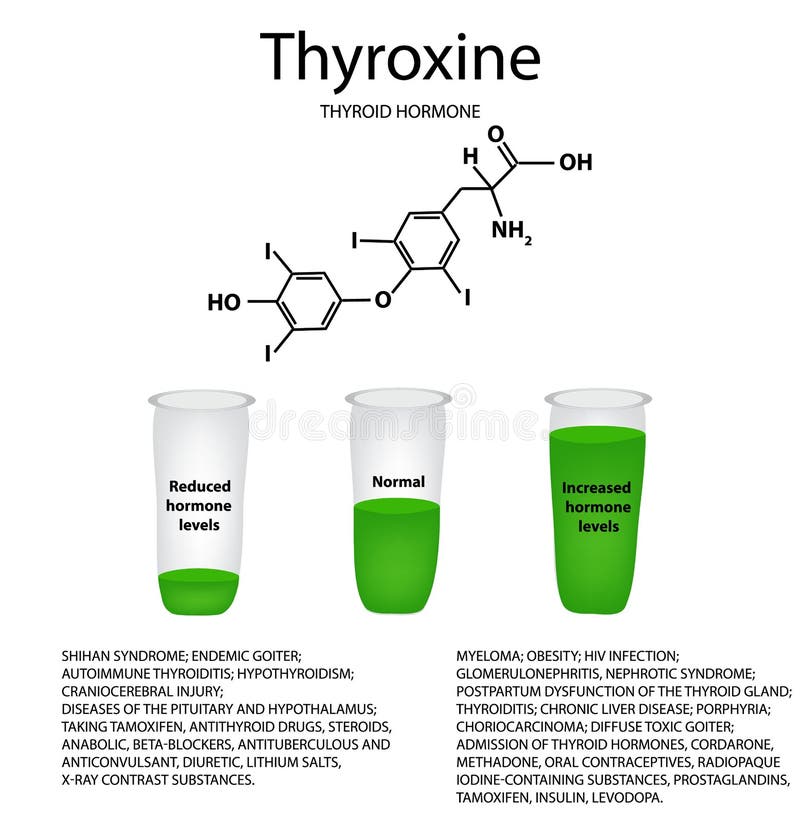 A fórmula molecular química do thyroxine da hormona Hormona de tiroide Diminua e aumento do thyroxine ilustração royalty free A fórmula molecular química do thyroxine da hormona Hormona de tiroide Diminua e aumento do thyroxine ilustração royalty free