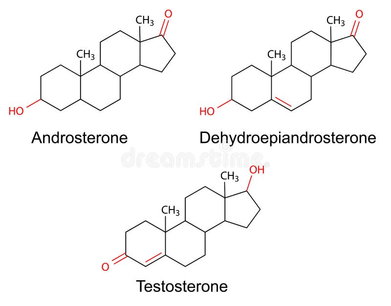 Fórmulas estructurales de las hormonas de sexo masculinas con los fragmentos variables marcados