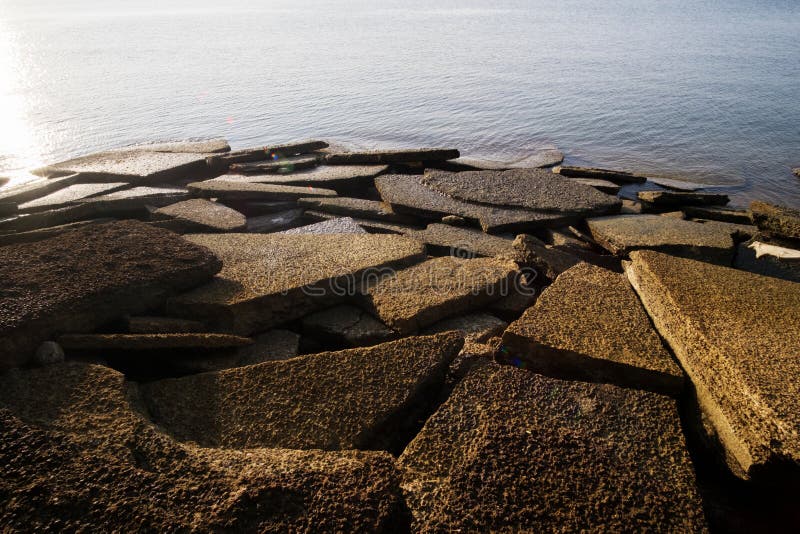 Fóssil Shell Beach do gastrópode fotografia de stock royalty free