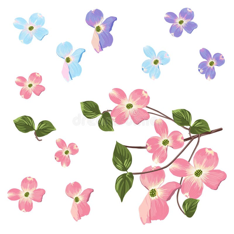 För beståndsdeluppsättning för vektor märkes- samling av den exotiska magnolian för vårhöst vektor illustrationer För beståndsdeluppsättning för vektor märkes- samling av den exotiska magnolian för vårhöst vektor illustrationer