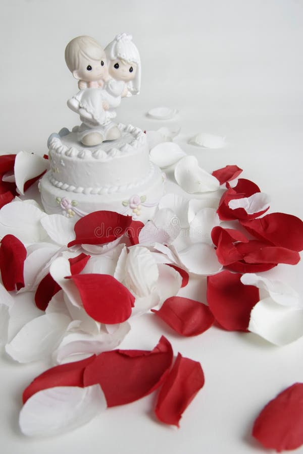 för brudgumprydnad för brud omgiven bärande rose för petals royaltyfri foto för brudgumprydnad för brud omgiven bärande rose för petals royaltyfri foto