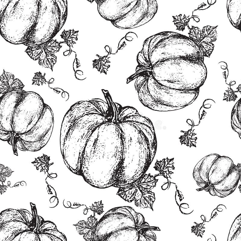 För färgpulvervektorn för pumpa som skissar den grafiska illustrationen isoleras på den vita bakgrunden, hand dragen inristad tap stock illustrationer För färgpulvervektorn för pumpa som skissar den grafiska illustrationen isoleras på den vita bakgrunden, hand dragen inristad tap stock illustrationer