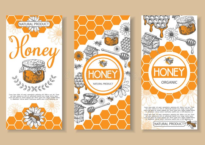 För honungvektor för bi naturlig uppsättning för reklamblad hand dragen