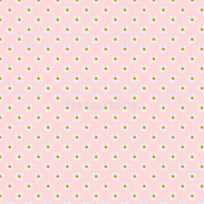 för infalltusenskönor för 5000x5000px 300dpi Digital för bakgrund för modell för fält för tusensköna blom- papper royaltyfri illustrationer för infalltusenskönor för 5000x5000px 300dpi Digital för bakgrund för modell för fält för tusensköna blom- papper royaltyfri illustrationer