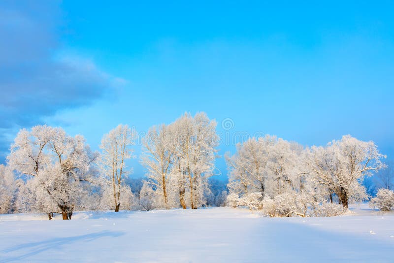 för ligganderussia för 33c januari ural vinter temperatur kall dag arkivfoto för ligganderussia för 33c januari ural vinter temperatur kall dag arkivfoto