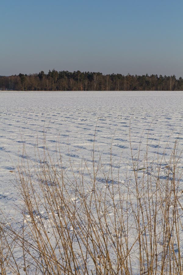 för ligganderussia för 33c januari ural vinter temperatur royaltyfri fotografi för ligganderussia för 33c januari ural vinter temperatur royaltyfri fotografi