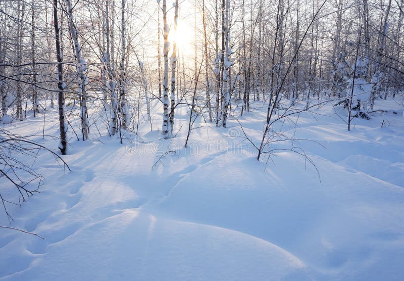 för ligganderussia för 33c januari ural vinter temperatur arkivfoton för ligganderussia för 33c januari ural vinter temperatur arkivfoton