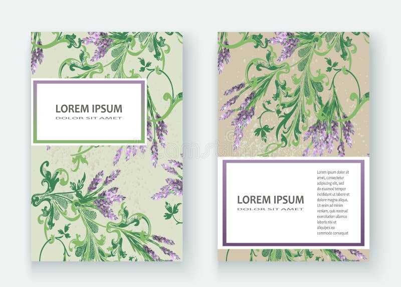 För modellräkning för lavendel blom- design Hand dragen idérik blomma stock illustrationer För modellräkning för lavendel blom- design Hand dragen idérik blomma stock illustrationer