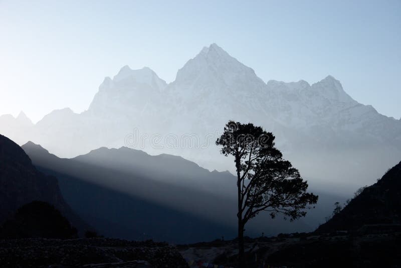 För nepal för himalayas lone tree soluppgång royaltyfri bild