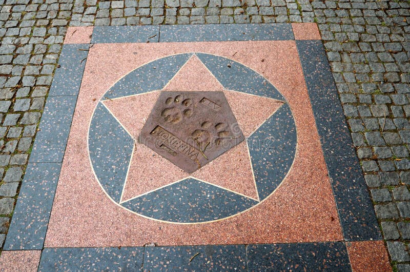 för republiktown för cesky tjeckisk krumlov medeltida gammal sikt Prague Prague zoo Spår av tafsar av ett lejon Juni 12, 2016 royaltyfria bilder för republiktown för cesky tjeckisk krumlov medeltida gammal sikt Prague Prague zoo Spår av tafsar av ett lejon Juni 12, 2016 royaltyfria bilder