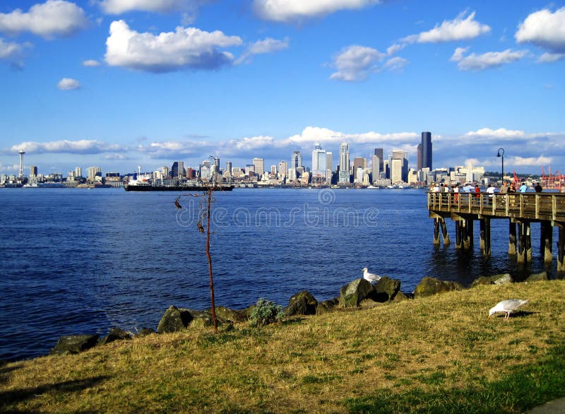 För seattle för alki scenisk sikt horisont arkivbilder