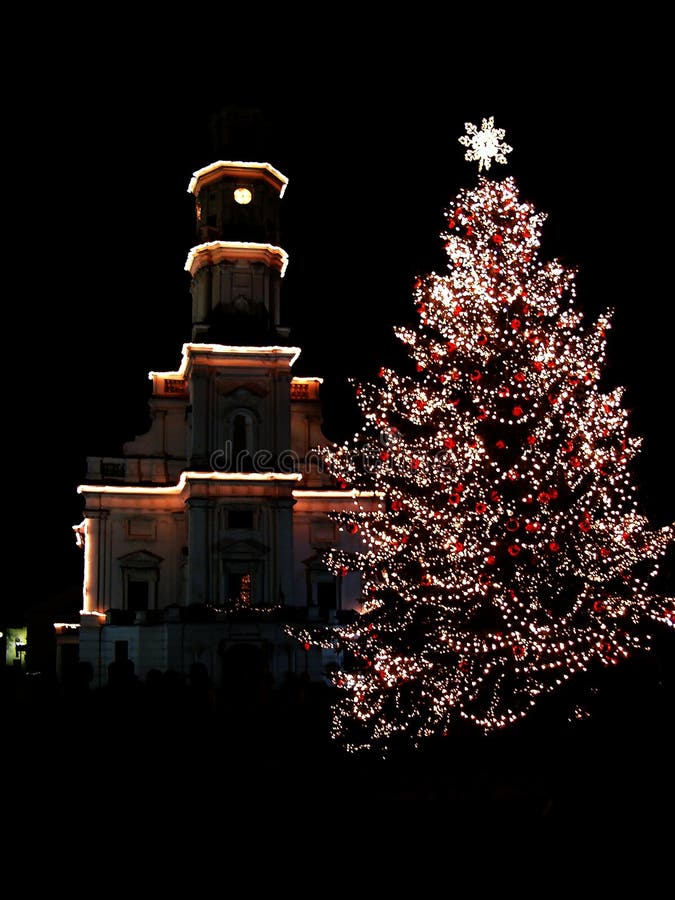 Christmas tree and city hall. Christmas tree and city hall