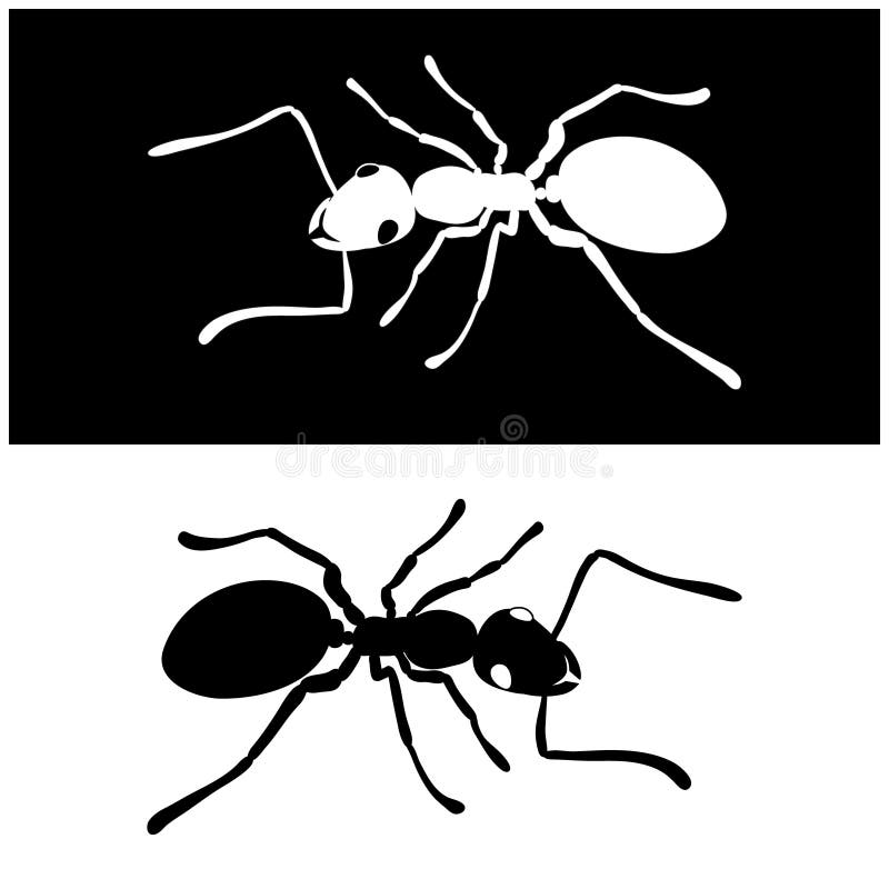 För symbolsvektor för två myror bild
