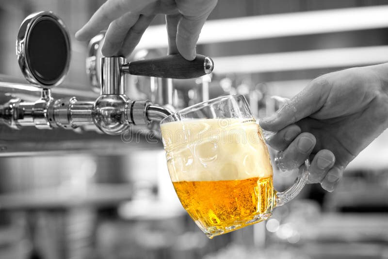 För utkastlager för man ett hällande öl in i ett gropigt exponeringsglas rånar i en modern bar f?r kortdesign f?r bakgrund white arkivfoton För utkastlager för man ett hällande öl in i ett gropigt exponeringsglas rånar i en modern bar f?r kortdesign f?r bakgrund white arkivfoton