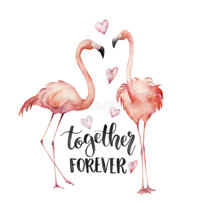 För vattenfärg för evigtkort tillsammans Handen målade flamingopar med hjärtor och bokstäver som isolerades på vit bakgrund stock illustrationer För vattenfärg för evigtkort tillsammans Handen målade flamingopar med hjärtor och bokstäver som isolerades på vit bakgrund stock illustrationer