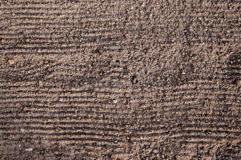 Förberedelse av land, innan att plantera Texturen av jordningen med horisontalspår från krattar, klart att landa v?tt arkivbild Förberedelse av land, innan att plantera Texturen av jordningen med horisontalspår från krattar, klart att landa v?tt arkivbild