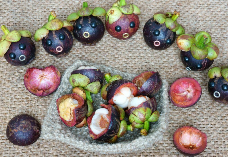 Amazing background with funny idea, impersonation, mangosteen with worried, anxious, humorous face, contrast among beauty look with rotten insside. Amazing background with funny idea, impersonation, mangosteen with worried, anxious, humorous face, contrast among beauty look with rotten insside