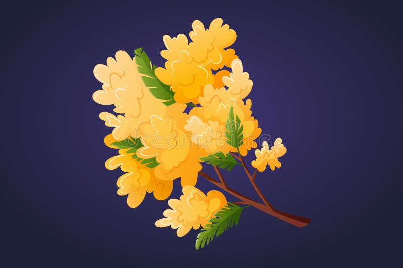 Förgrening med blad och ljusgul blomningsmimosa-planta. isolerad blomteckning med vektor illustration av bouquet. stock illustrationer