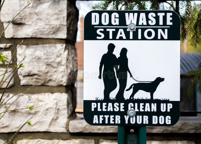 Förlorad station för utomhus- svartvit teckenordstävhund arkivbilder Förlorad station för utomhus- svartvit teckenordstävhund arkivbilder