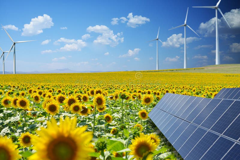 Förnybara energikällorresurser i naturlig miljö med solrosfältet, photovoltaic paneler och väderkvarnar fotografering för bildbyråer Förnybara energikällorresurser i naturlig miljö med solrosfältet, photovoltaic paneler och väderkvarnar fotografering för bildbyråer