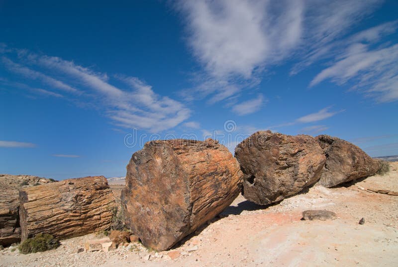 Petrified Woods National Park in Patagonia. Petrified Woods National Park in Patagonia