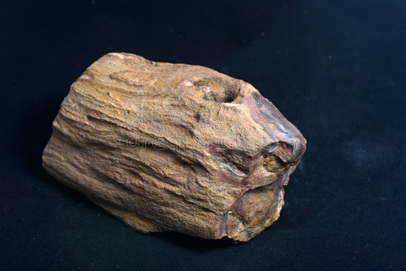 Piece of petrified wood on black background. Piece of petrified wood on black background