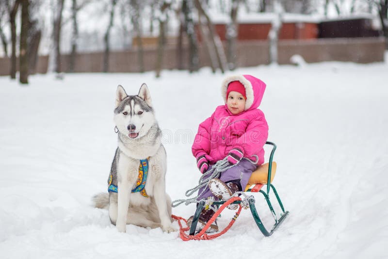 Förtjusande liten flicka som har en omfamning med den skrovliga slädehunden royaltyfria foton Förtjusande liten flicka som har en omfamning med den skrovliga slädehunden royaltyfria foton