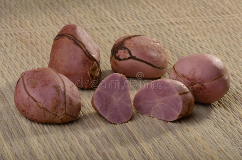 Fünf Kolabaummuttern auf Matte stockbild Fünf Kolabaummuttern auf Matte stockbild