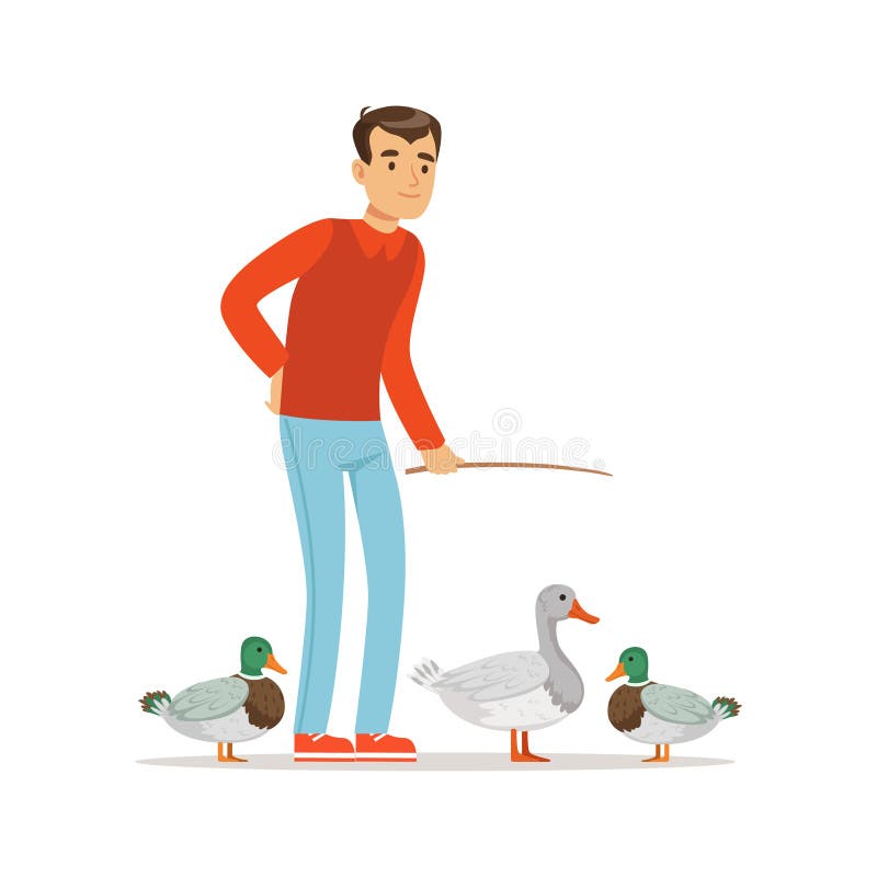 Farmer man feeding ducks, poultry breeding vector Illustration on a white background. Farmer man feeding ducks, poultry breeding vector Illustration on a white background