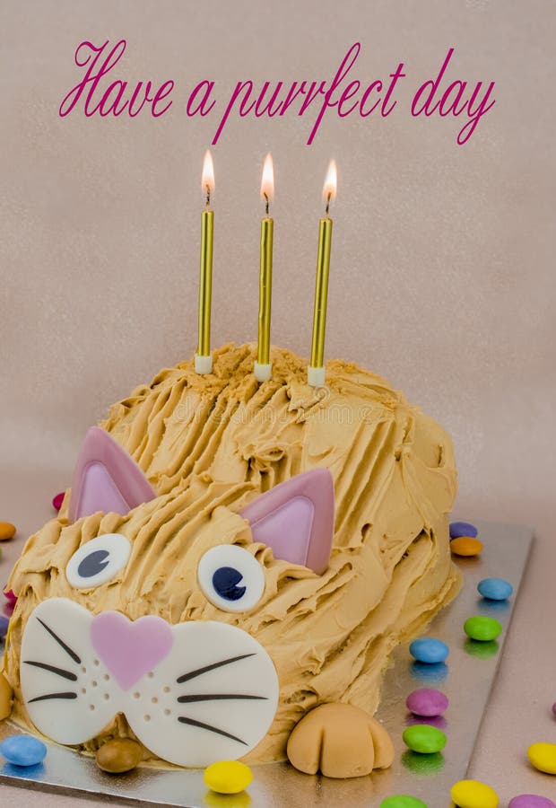 842 Chat Avec Le Petit Gateau D Anniversaire Photos Libres De Droits Et Gratuites De Dreamstime 842 Chat Avec Le Petit Gateau D Anniversaire Photos Libres De Droits Et Gratuites De Dreamstime